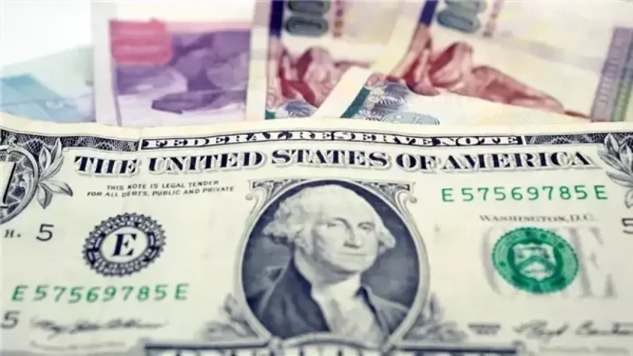 استقرار سعر الدولار أمام الجنيه في البنوك اليوم السبت